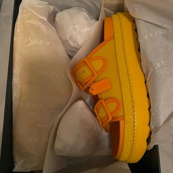 Coach slides - Picture 3 of 4